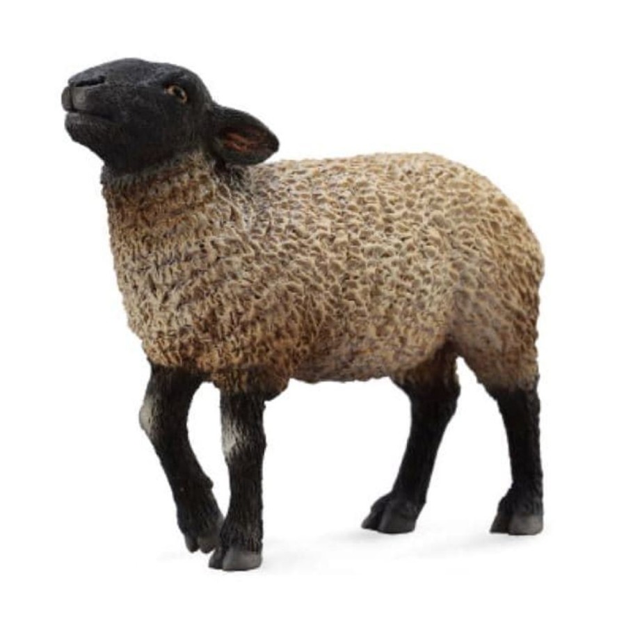 COLLECTA Oveja Negra De Juguete | Collecta - Granjas Y Animales Animales De Granja